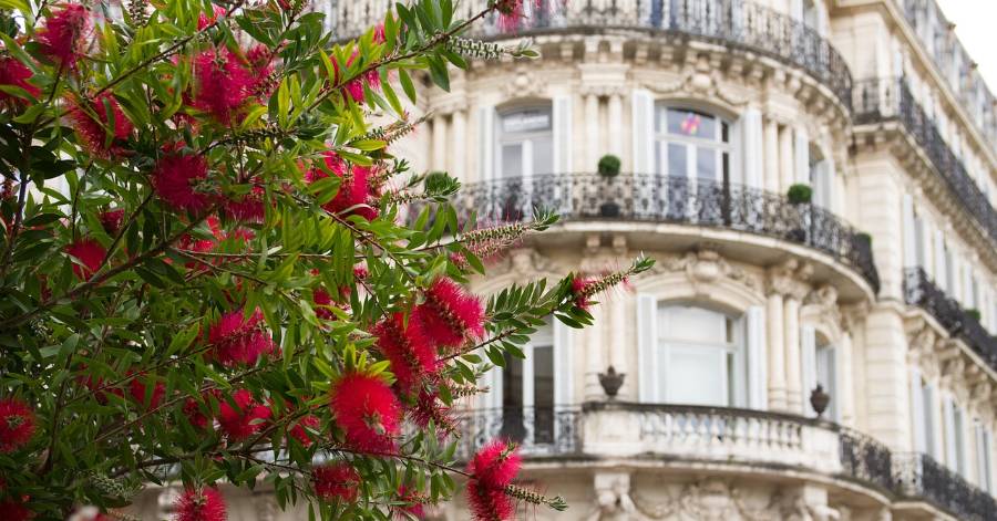 image d'un immeuble avec des fleurs rappelant coralia conseils contact 